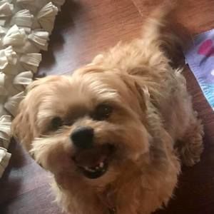 Meet your Posher, Christine